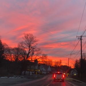 Meet your Posher, Cheyenne